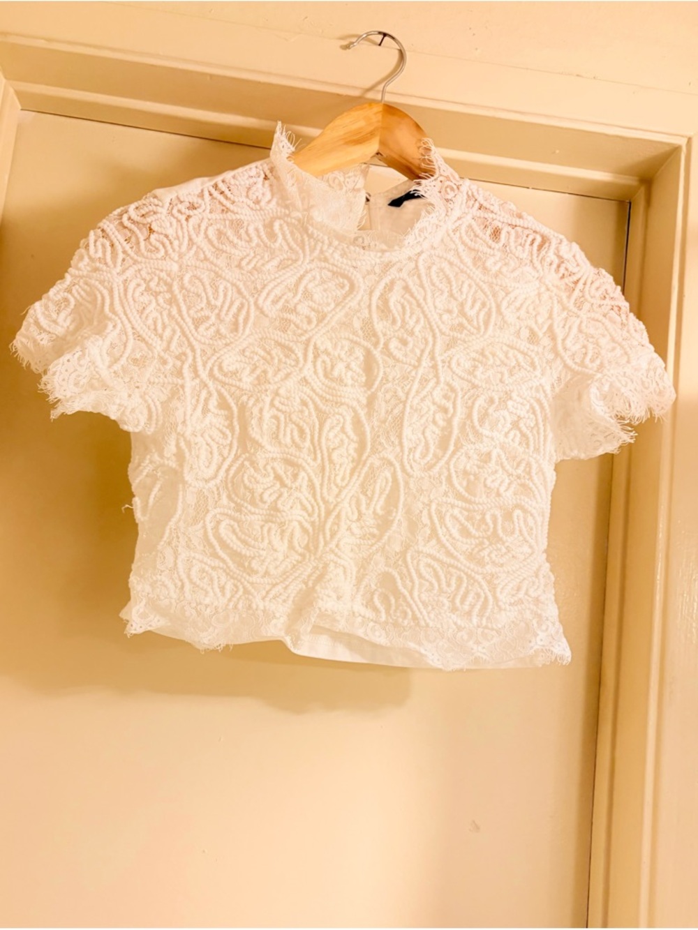 SHEIN White Lace Short Sleeve High-Neck Blouse